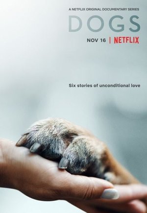 Dogs