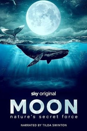 Moon: Nature's Secret Force