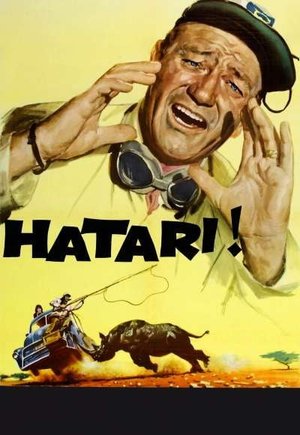Hatari!