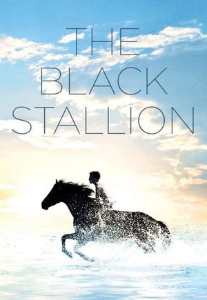 The Black Stallion