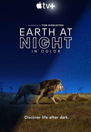 Earth at Night in Color